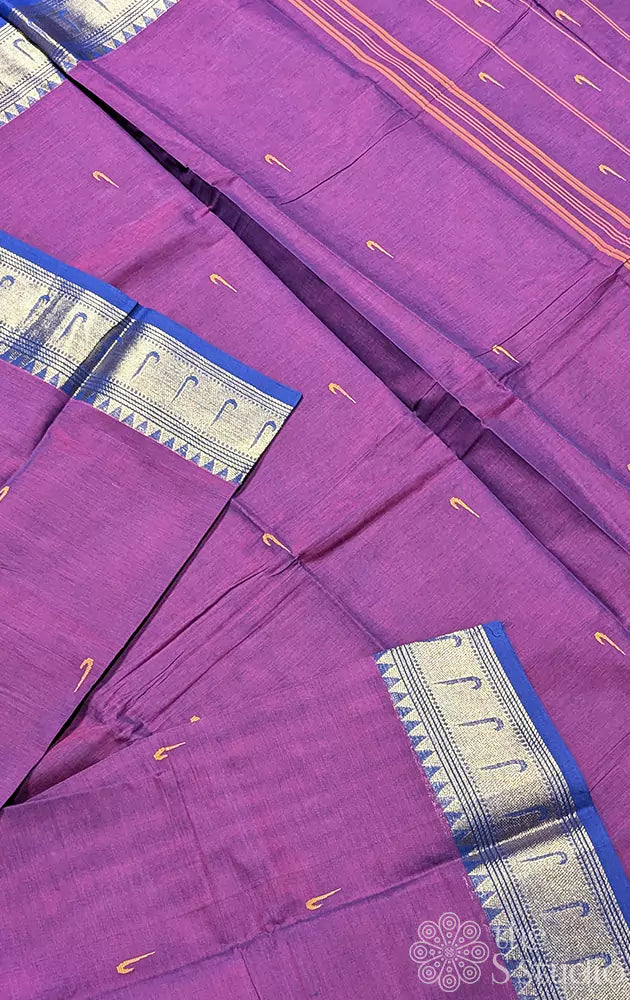 Kanchi cotton saree with paithani border - Pack of 5