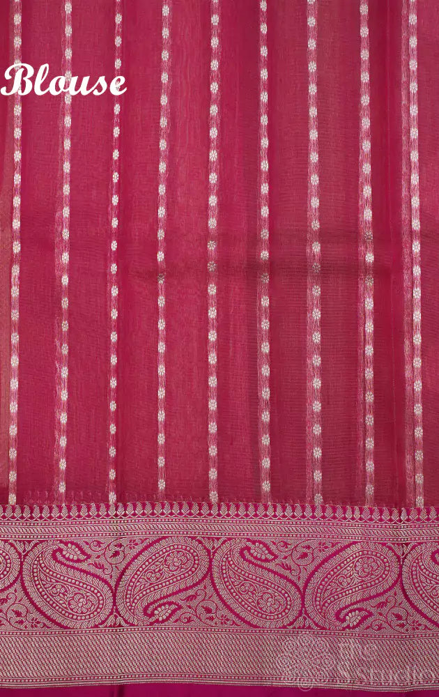 Beige banarasi tissue silk saree with ganga jamuna border