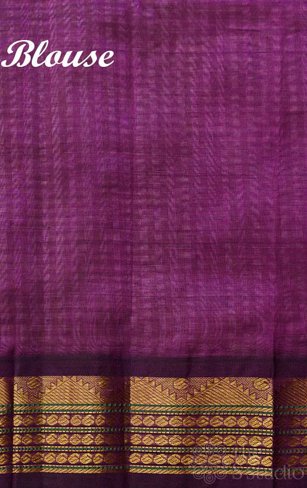 Light green checked handloom kanchipuram silk cotton saree with korvai zari border