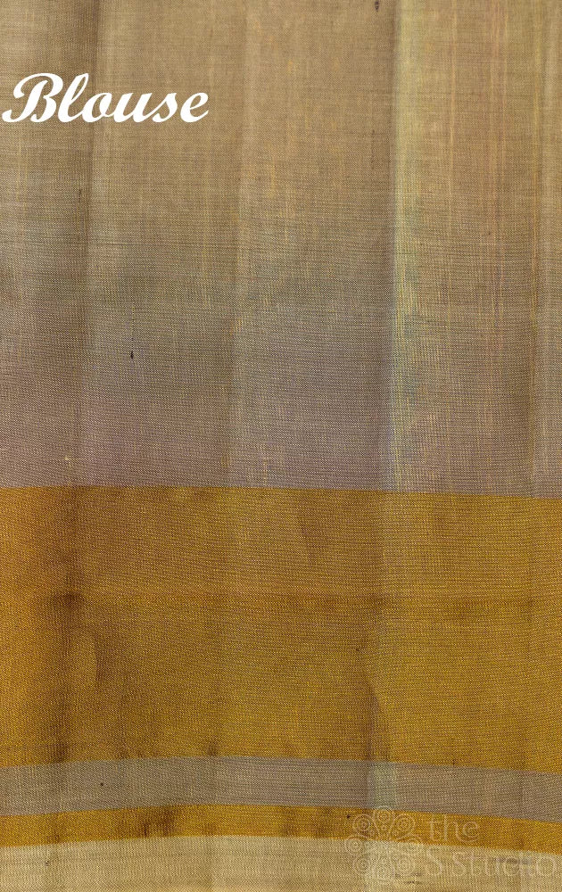 Greenish grey rajkot patola saree with tissue border