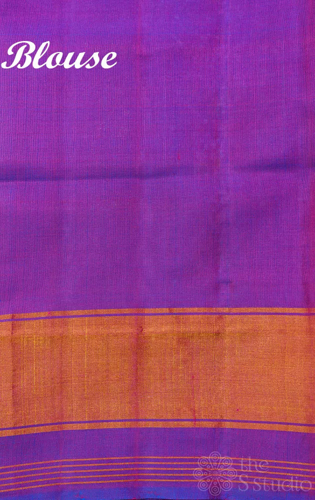 Dual tone green rajkot patola saree with purple border in ikat design