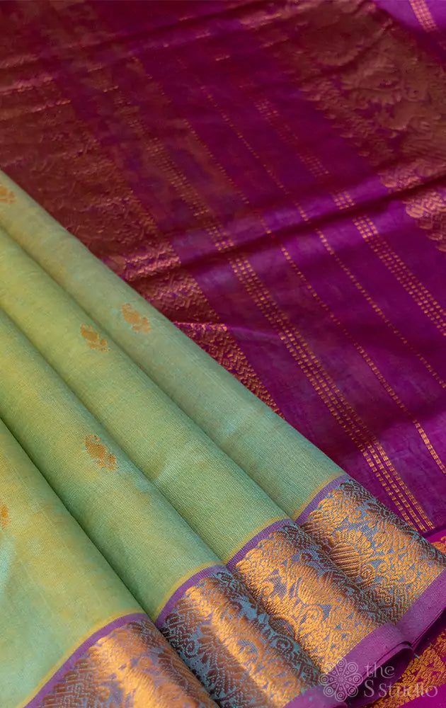 Pale green silk cotton ten yards saree with purple pallu