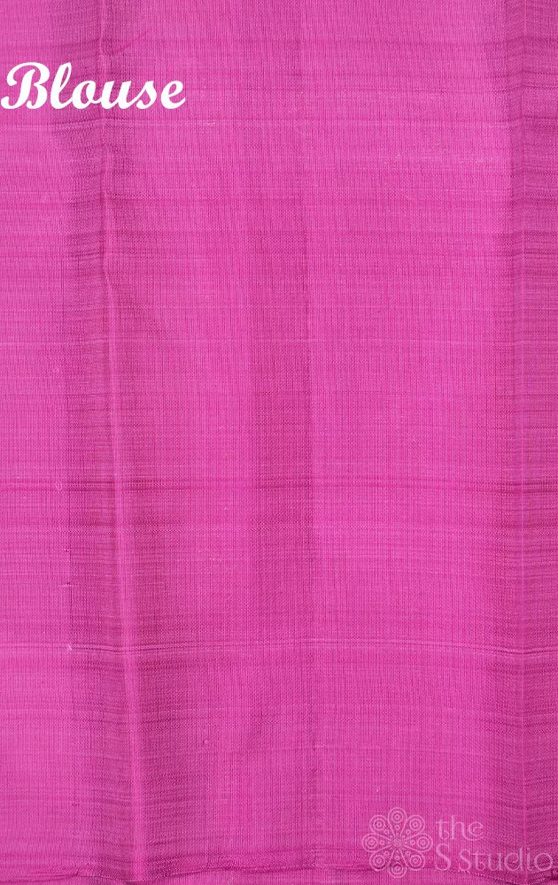 Aqua blue borderless kanchipuram silk saree with contrast pallu