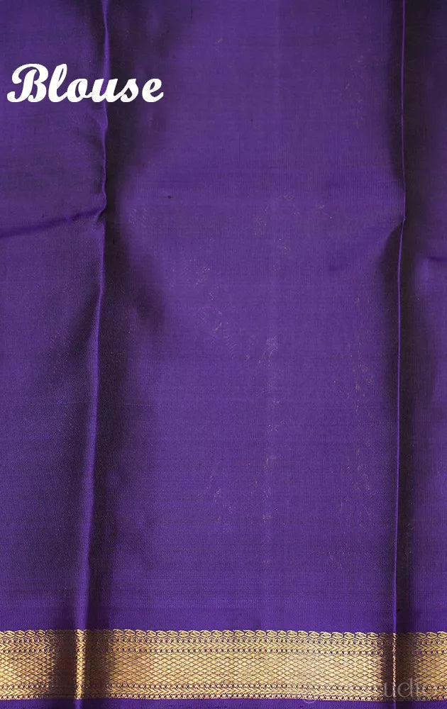 Brown small border kanjivaram silk saree