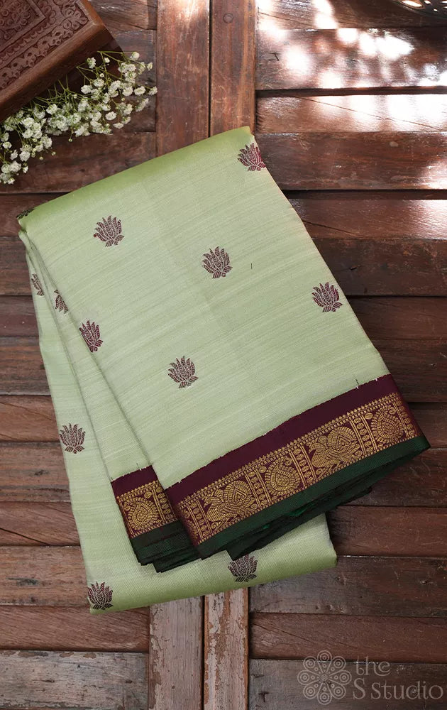 Pista green small border kanchi silk saree with korvai brown border