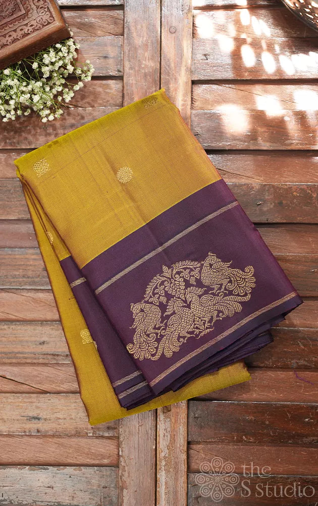 Golden green kanchi pattu saree with deep purple border