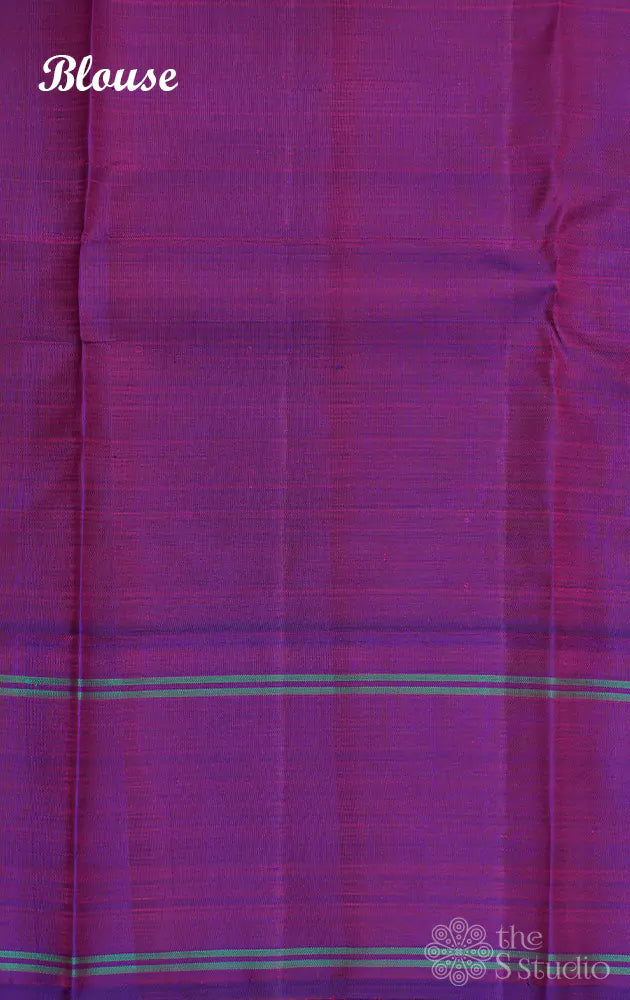 Light green kanchi silk saree with korvai border